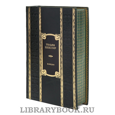 Миниатюра - 