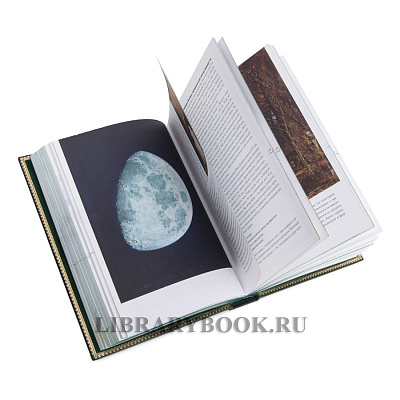 Миниатюра - 