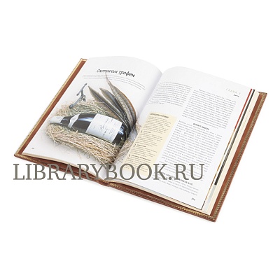 Миниатюра - 