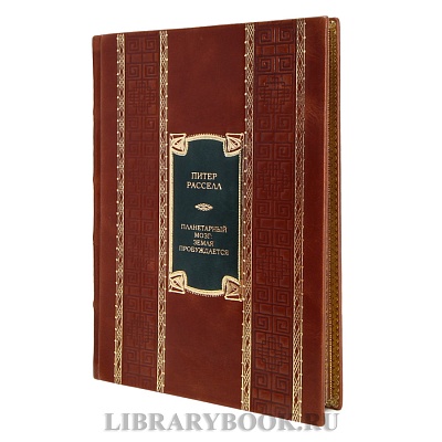 Миниатюра - 