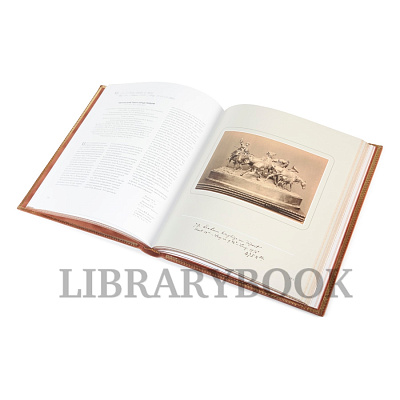 Миниатюра - 