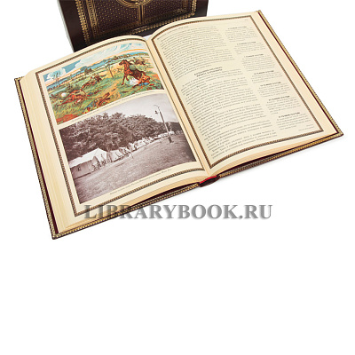 Миниатюра - 