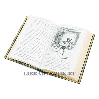 Миниатюра - 