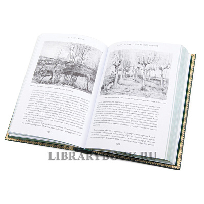 Миниатюра - 