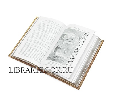 Миниатюра - 