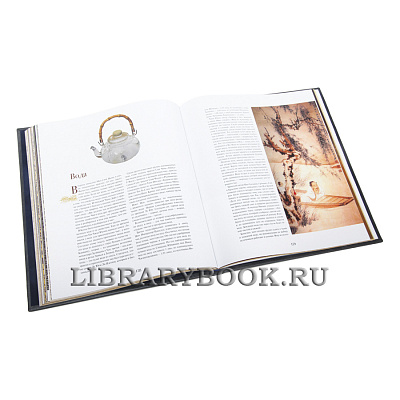 Миниатюра - 