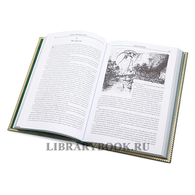 Миниатюра - 