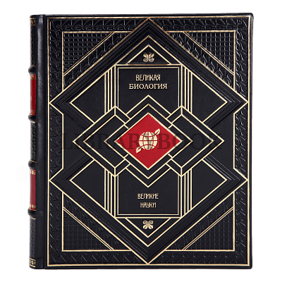 Миниатюра - 