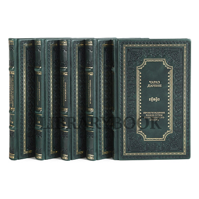 Миниатюра - 