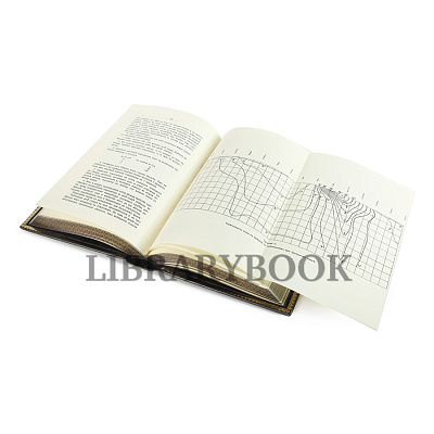 Миниатюра - 