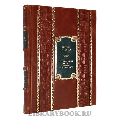 Миниатюра - 