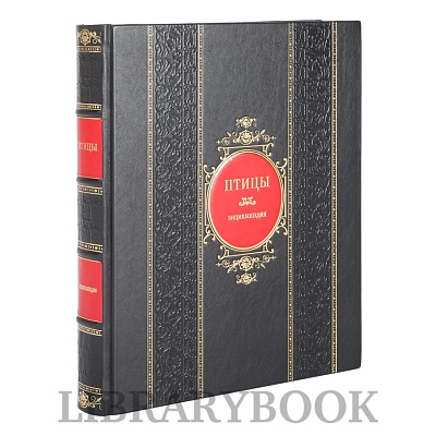 Миниатюра - 