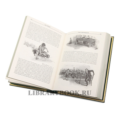 Миниатюра - 