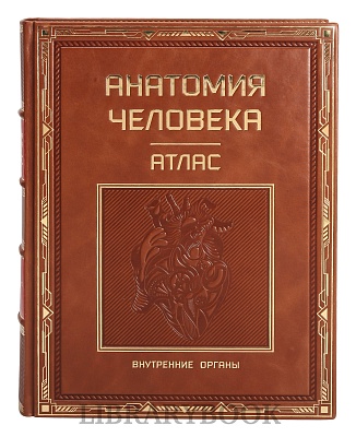 Миниатюра - 