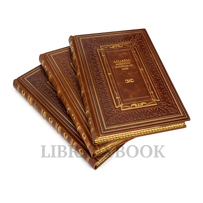 Миниатюра - 