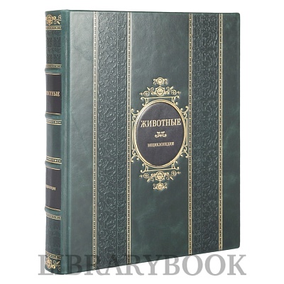 Миниатюра - 