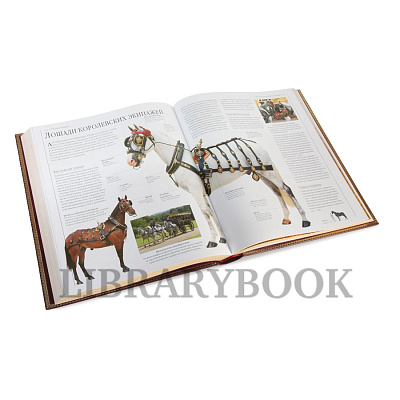 Миниатюра - 