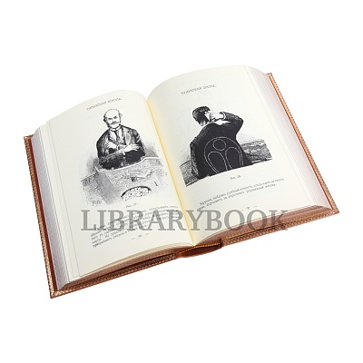 Миниатюра - 