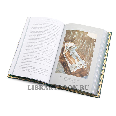 Миниатюра - 