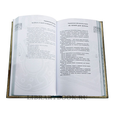 Миниатюра - 