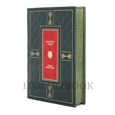 Миниатюра - 