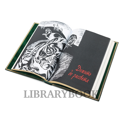 Миниатюра - 