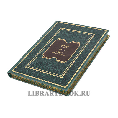 Миниатюра - 