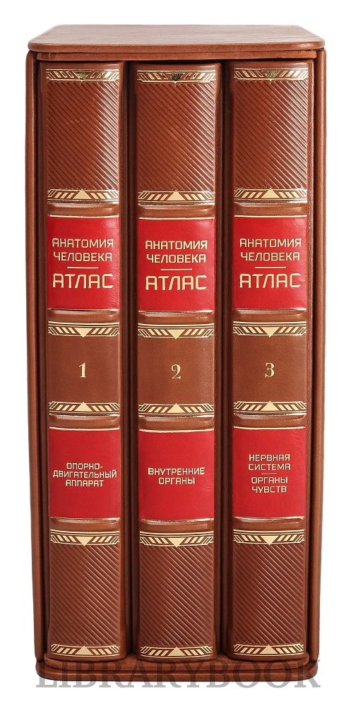 Подарочное издание книги Атлас анатомии человека в 3-х томах в кожаном переплете