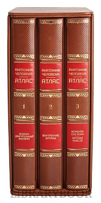 Миниатюра - 