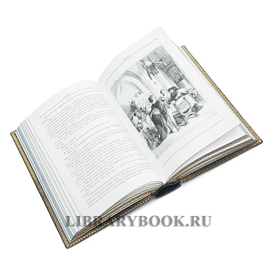 Миниатюра - 