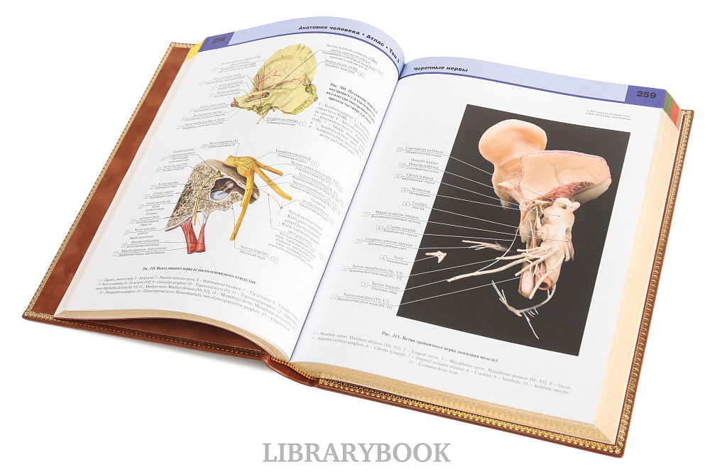 Подарочное издание книги Атлас анатомии человека в 3-х томах в кожаном переплете