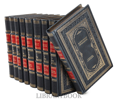 Миниатюра - 