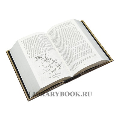 Миниатюра - 