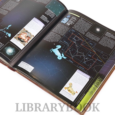 Миниатюра - 