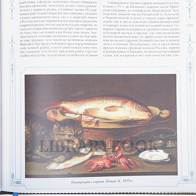 Миниатюра - 