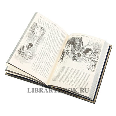 Миниатюра - 