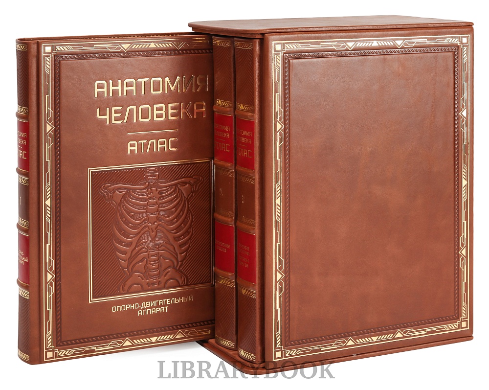 Подарочное издание книги Атлас анатомии человека в 3-х томах в кожаном переплете