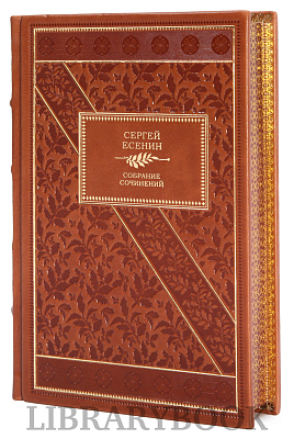 Миниатюра - 