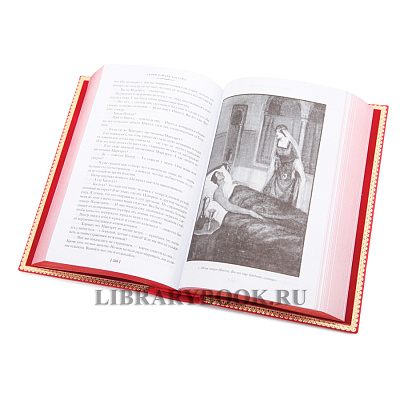 Миниатюра - 