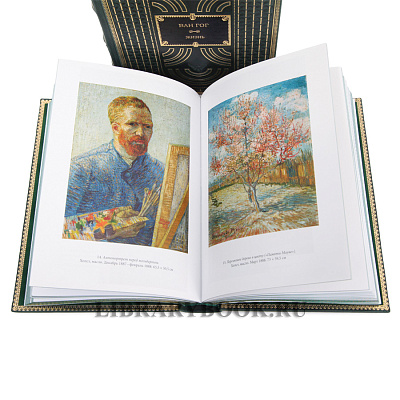 Миниатюра - 