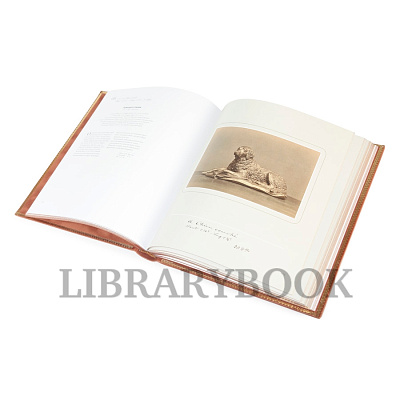 Миниатюра - 