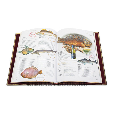 Миниатюра - 