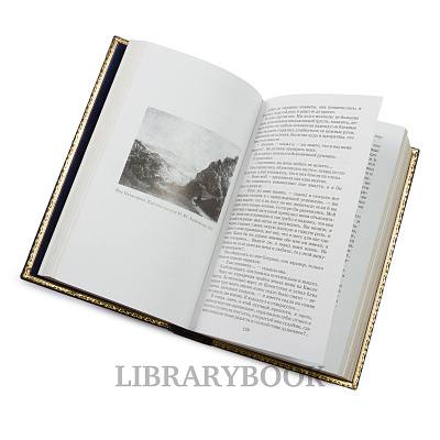 Миниатюра - 