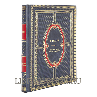 Миниатюра - 