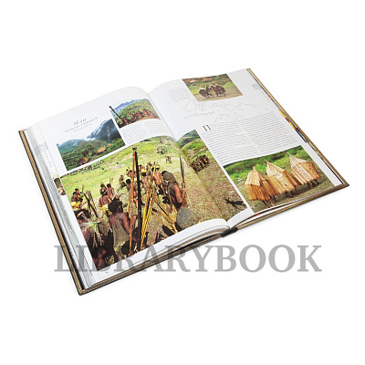 Миниатюра - 