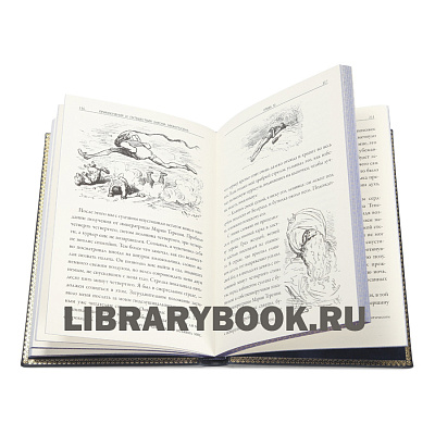 Миниатюра - 