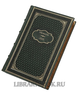 Миниатюра - 