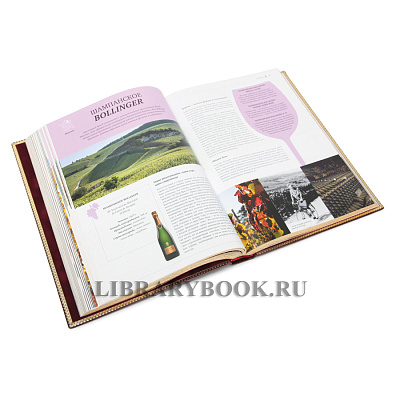 Миниатюра - 