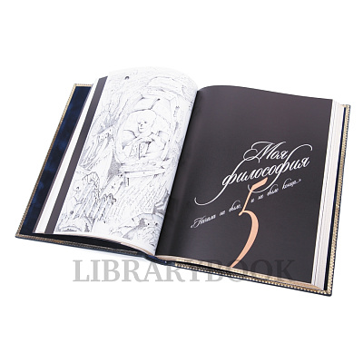 Миниатюра - 