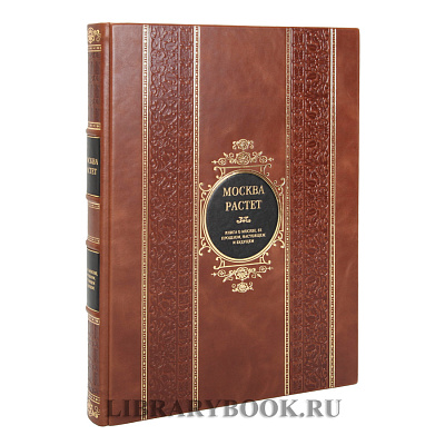 Миниатюра - 